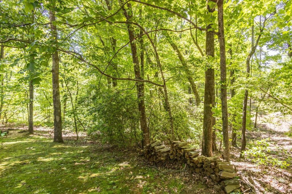 Pet Friendly Luxury Cabin Near Helen With Fire Pit Cleveland Exterior foto